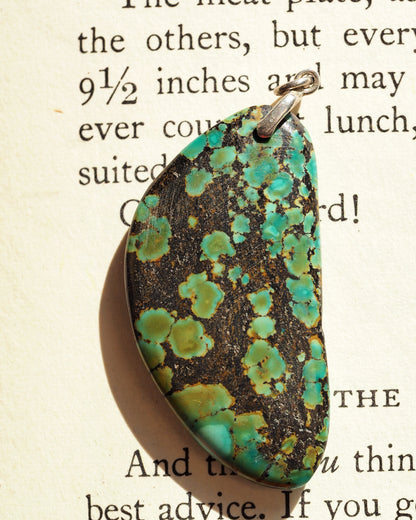 Sterling silver pendant with blue-green matrix stone, teardrop cabochon with chartreuse pools in dark brown-black matrix, front view